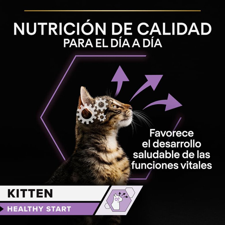 Pro Plan NutriSavour Feline Kitten Pavo sobre  en salsa, , large image number null